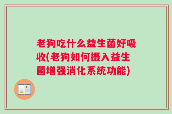 老狗吃什么益生菌好吸收(老狗如何摄入益生菌增强消化系统功能) 老狗吃什么益生菌好吸收(老狗如何摄入益生菌增强消化系统功能)