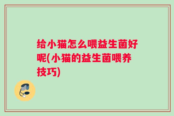 给小猫怎么喂益生菌好呢(小猫的益生菌喂养技巧) 给小猫怎么喂益生菌好呢(小猫的益生菌喂养技巧)
