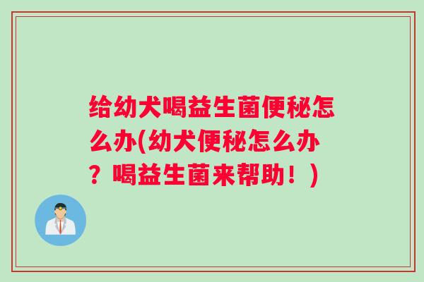 给幼犬喝益生菌便秘怎么办(幼犬便秘怎么办?喝益生菌来帮助!) 给幼犬喝益生菌便秘怎么办(幼犬便秘怎么办?喝益生菌来帮助!)