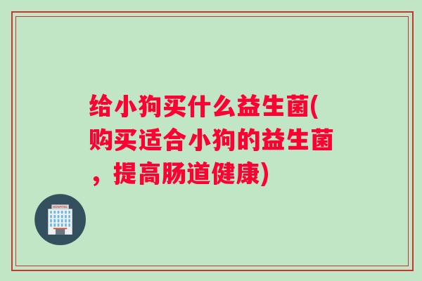 给小狗买什么益生菌(购买适合小狗的益生菌,提高肠道健康) 给小狗买什么益生菌(购买适合小狗的益生菌,提高肠道健康)