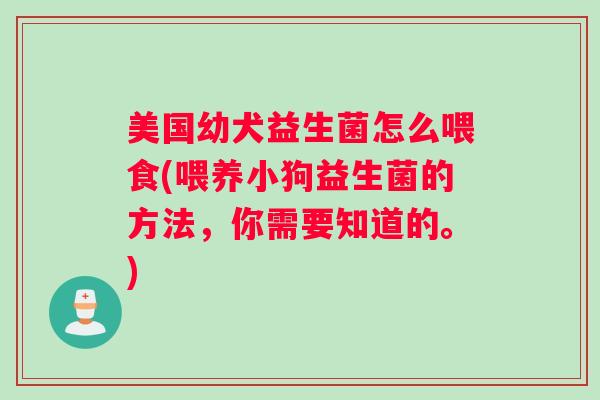 美国幼犬益生菌怎么喂食(喂养小狗益生菌的方法,你需要知道的。) 美国幼犬益生菌怎么喂食(喂养小狗益生菌的方法,你需要知道的。)