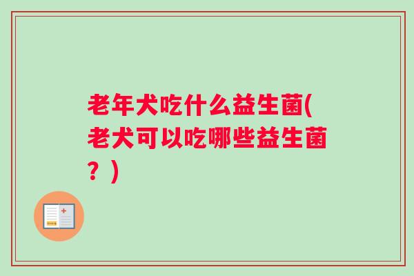老年犬吃什么益生菌(老犬可以吃哪些益生菌?) 老年犬吃什么益生菌(老犬可以吃哪些益生菌?)