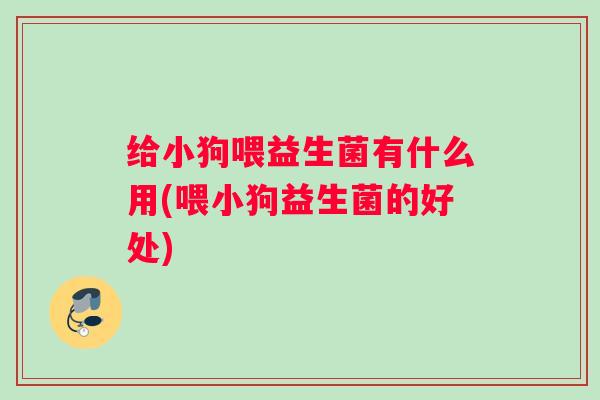 给小狗喂益生菌有什么用(喂小狗益生菌的好处) 给小狗喂益生菌有什么用(喂小狗益生菌的好处)
