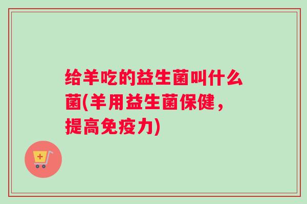 给羊吃的益生菌叫什么菌(羊用益生菌保健,提高免疫力) 给羊吃的益生菌叫什么菌(羊用益生菌保健,提高免疫力)