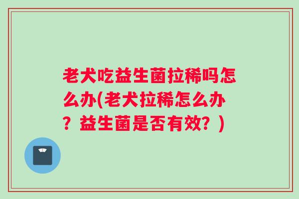 老犬吃益生菌拉稀吗怎么办(老犬拉稀怎么办?益生菌是否有效?) 老犬吃益生菌拉稀吗怎么办(老犬拉稀怎么办?益生菌是否有效?)