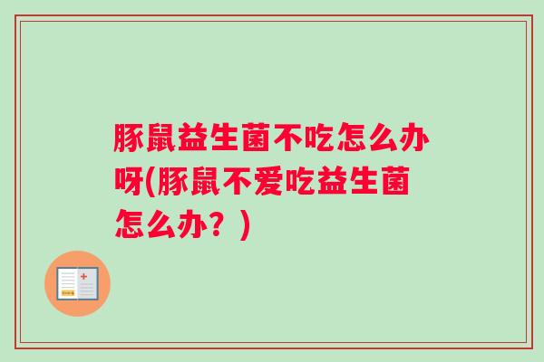 豚鼠益生菌不吃怎么办呀(豚鼠不爱吃益生菌怎么办?) 豚鼠益生菌不吃怎么办呀(豚鼠不爱吃益生菌怎么办?)