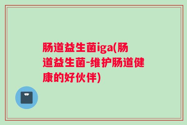 肠道益生菌iga(肠道益生菌-维护肠道健康的好伙伴) 肠道益生菌iga(肠道益生菌-维护肠道健康的好伙伴)