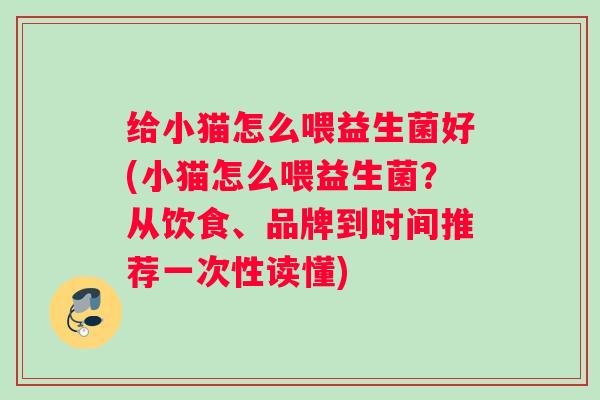 给小猫怎么喂益生菌好(小猫怎么喂益生菌？从饮食、品牌到时间推荐一次性读懂)