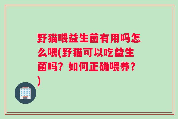 野猫喂益生菌有用吗怎么喂(野猫可以吃益生菌吗？如何正确喂养？)