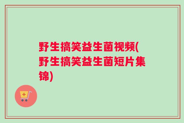 野生搞笑益生菌视频(野生搞笑益生菌短片集锦)