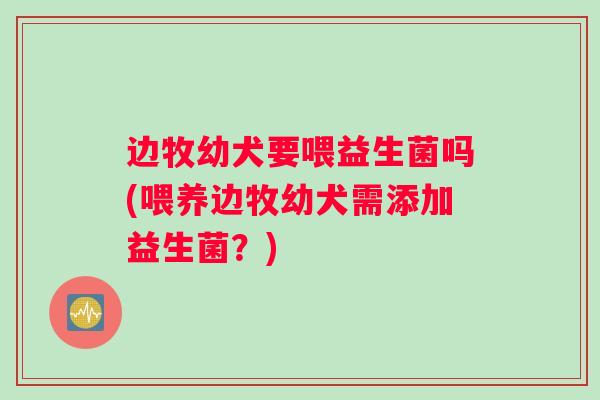 边牧幼犬要喂益生菌吗(喂养边牧幼犬需添加益生菌？)