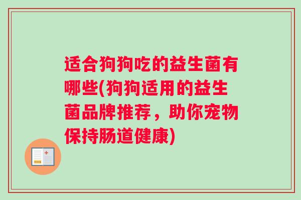 适合狗狗吃的益生菌有哪些(狗狗适用的益生菌品牌推荐，助你宠物保持肠道健康)