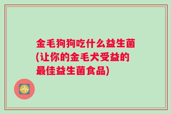 金毛狗狗吃什么益生菌(让你的金毛犬受益的佳益生菌食品)