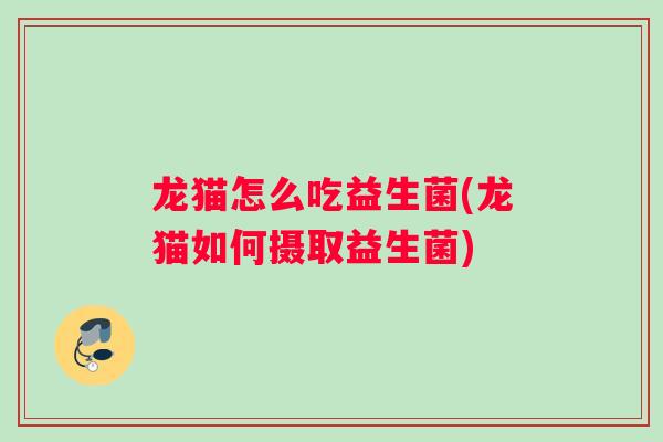 龙猫怎么吃益生菌(龙猫如何摄取益生菌)