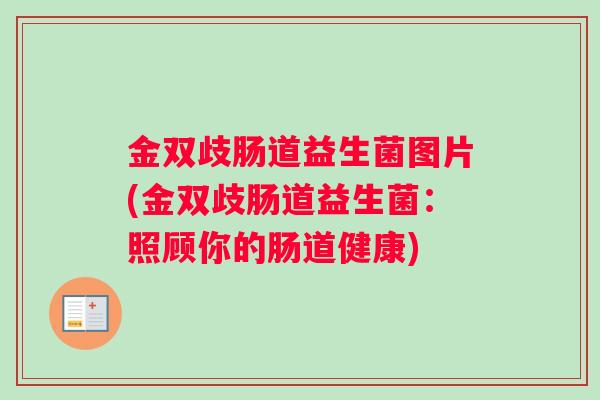 金双歧肠道益生菌图片(金双歧肠道益生菌：照顾你的肠道健康)