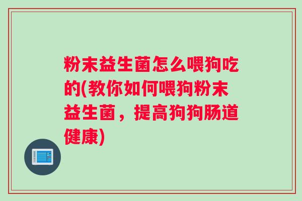 粉末益生菌怎么喂狗吃的(教你如何喂狗粉末益生菌，提高狗狗肠道健康)