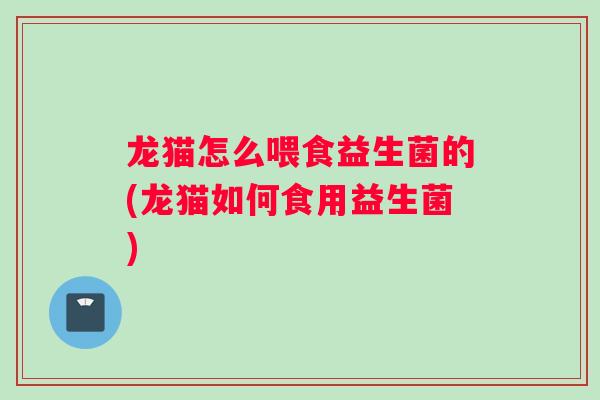 龙猫怎么喂食益生菌的(龙猫如何食用益生菌)