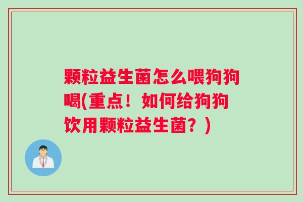 颗粒益生菌怎么喂狗狗喝(重点！如何给狗狗饮用颗粒益生菌？)