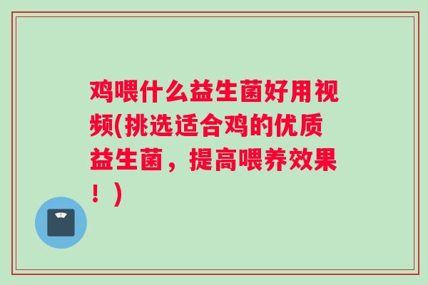 鸡喂什么益生菌好用视频(挑选适合鸡的优质益生菌，提高喂养效果！)