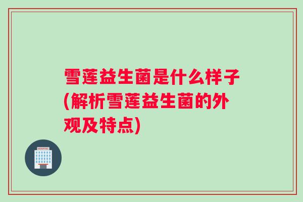 雪莲益生菌是什么样子(解析雪莲益生菌的外观及特点)