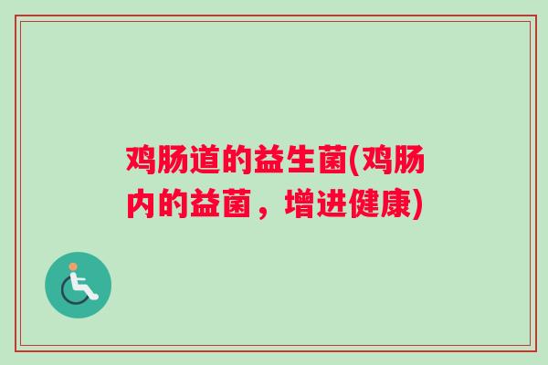 鸡肠道的益生菌(鸡肠内的益菌，增进健康)