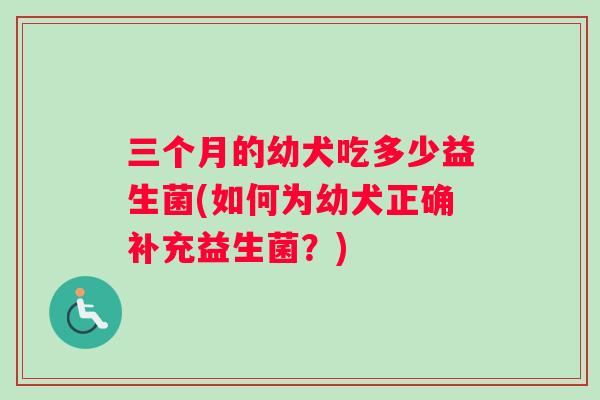 三个月的幼犬吃多少益生菌(如何为幼犬正确补充益生菌？)
