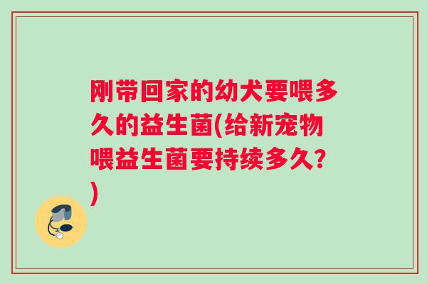 刚带回家的幼犬要喂多久的益生菌(给新宠物喂益生菌要持续多久？)