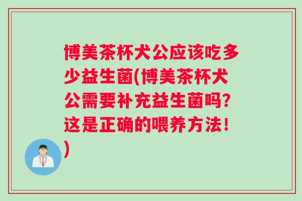 博美茶杯犬公应该吃多少益生菌(博美茶杯犬公需要补充益生菌吗?这是正确的喂养方法!) 博美茶杯犬公应该吃多少益生菌(博美茶杯犬公需要补充益生菌吗?这是正确的喂养方法!)