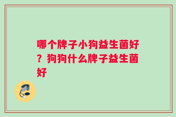 哪个牌子小狗益生菌好？狗狗什么牌子益生菌好
