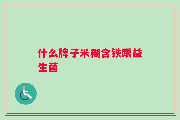 什么牌子米糊含铁跟益生菌