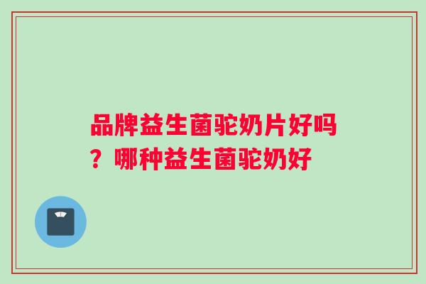 品牌益生菌驼奶片好吗？哪种益生菌驼奶好