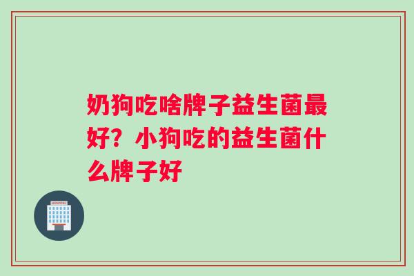 奶狗吃啥牌子益生菌好?小狗吃的益生菌什么牌子好 奶狗吃啥牌子益生菌好?小狗吃的益生菌什么牌子好