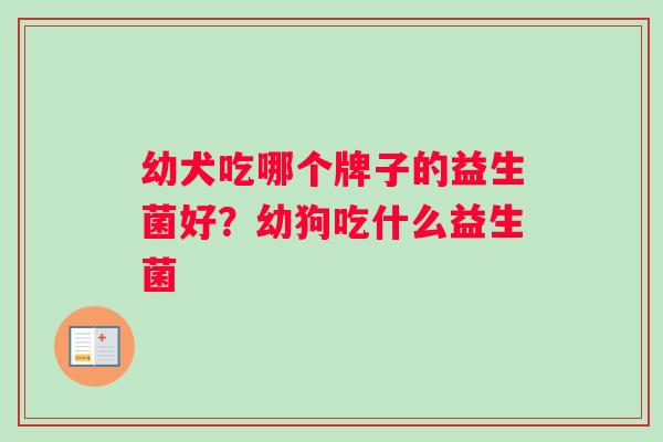 幼犬吃哪个牌子的益生菌好？幼狗吃什么益生菌
