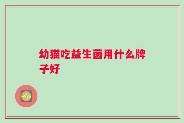 幼猫吃益生菌用什么牌子好
