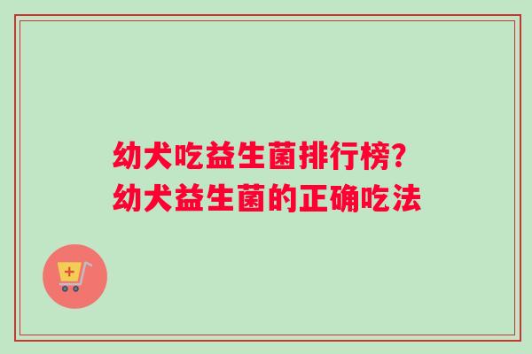 幼犬吃益生菌排行榜？幼犬益生菌的正确吃法