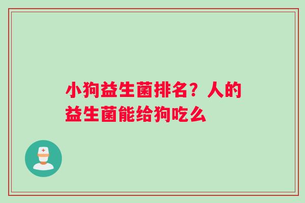 小狗益生菌排名?人的益生菌能给狗吃么 小狗益生菌排名?人的益生菌能给狗吃么