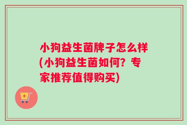 小狗益生菌牌子怎么样(小狗益生菌如何？专家推荐值得购买)