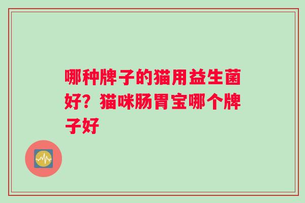 哪种牌子的猫用益生菌好？猫咪肠胃宝哪个牌子好
