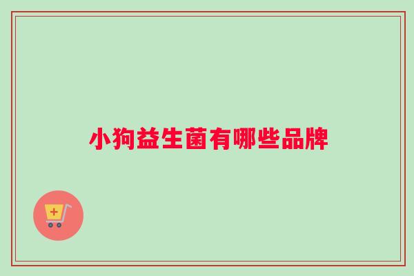 小狗益生菌有哪些品牌