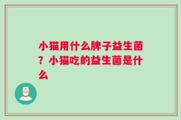 小猫用什么牌子益生菌?小猫吃的益生菌是什么 小猫用什么牌子益生菌?小猫吃的益生菌是什么