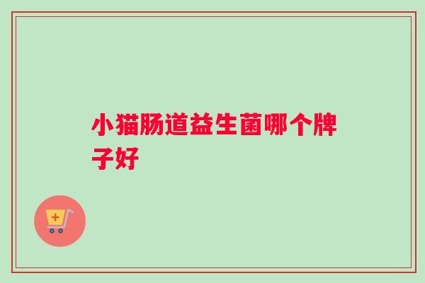 小猫肠道益生菌哪个牌子好