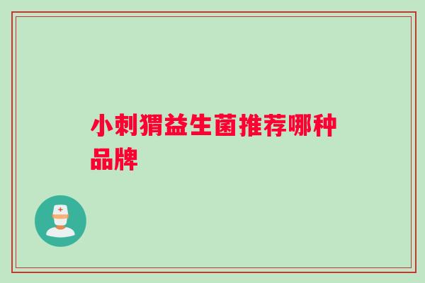 小刺猬益生菌推荐哪种品牌