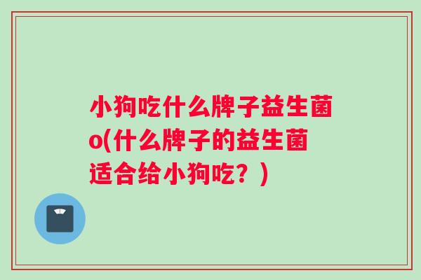 小狗吃什么牌子益生菌o(什么牌子的益生菌适合给小狗吃?) 小狗吃什么牌子益生菌o(什么牌子的益生菌适合给小狗吃?)