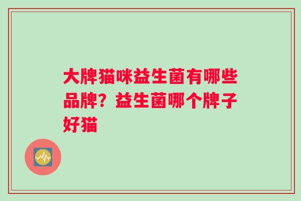 大牌猫咪益生菌有哪些品牌？益生菌哪个牌子好猫