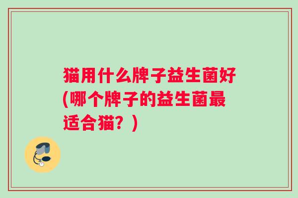 猫用什么牌子益生菌好(哪个牌子的益生菌最适合猫？)