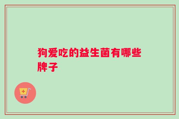 狗爱吃的益生菌有哪些牌子