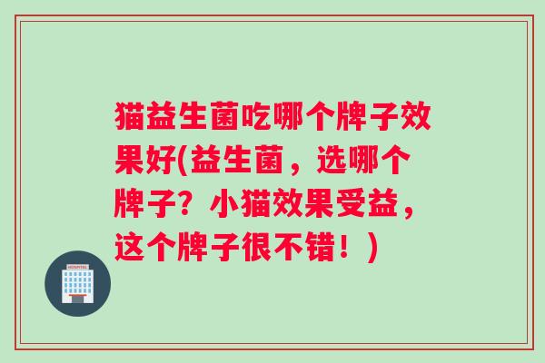 猫益生菌吃哪个牌子效果好(益生菌，选哪个牌子？小猫效果受益，这个牌子很不错！)