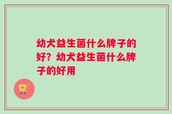 幼犬益生菌什么牌子的好？幼犬益生菌什么牌子的好用