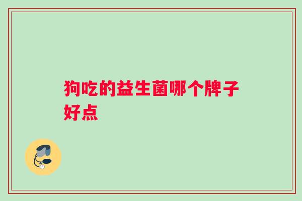 狗吃的益生菌哪个牌子好点