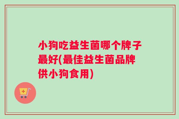 小狗吃益生菌哪个牌子最好(最佳益生菌品牌供小狗食用)